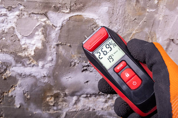 Best Residential Mold Removal  in Fyffe, AL