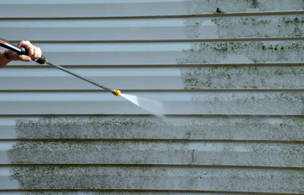 Best Office Mold Removal Services  in Fyffe, AL