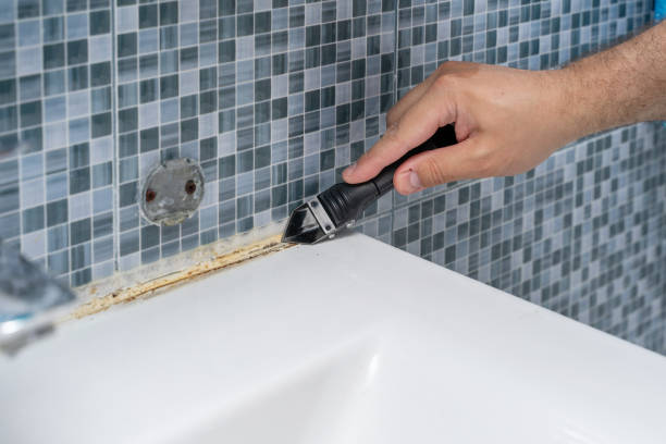 Best Black Mold Removal  in Fyffe, AL