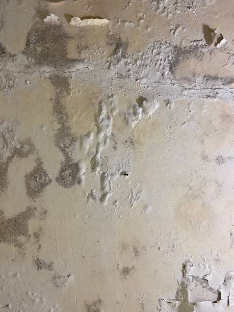 Best Residential Mold Removal  in Fyffe, AL